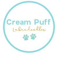 Cream Puff Labradoodles logo