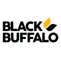 Black Buffalo 3D Corporation logo