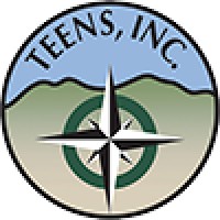 TEENS INC logo
