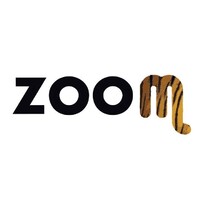 Zoom Torino logo
