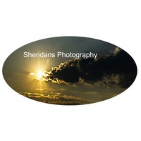 Image of Sheridans Photography