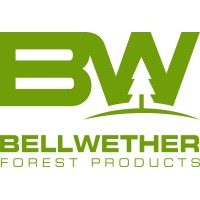 Bellwether Forest Products logo