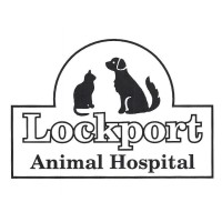 Image of LOCKPORT ANIMAL HOSPITAL, P.C.