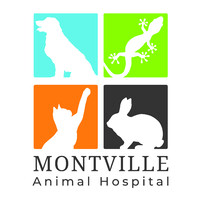 Montville Animal Hospital logo