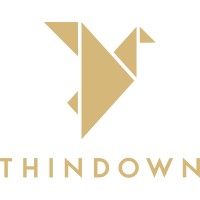 Thindown logo