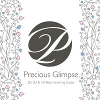 PRECIOUS GLIMPSE LIMITED logo