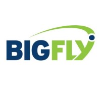 BigFly Inc. logo