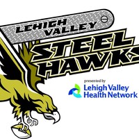 Lehigh Valley Steelhawks Professional Arena Football logo