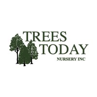 Trees Today Nursery Inc logo