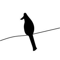 Birdbrain logo