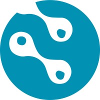Netin logo