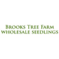 Brooks Tree Farm logo