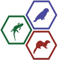 Evergreen Avian And Exotic Animal Hospital logo