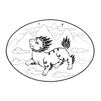 Snow Lion Publications logo