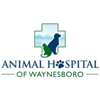 Animal Hospital Of Waynesboro logo