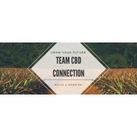 TEAM CBD CONNECTION logo