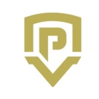 Petro Valve logo
