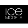 Ice Model Management logo