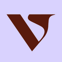 VICE VERSA logo