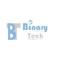 Binary Tech Consulting Corp logo