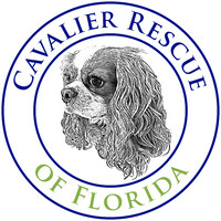 Cavalier Rescue Of Florida, Inc. logo