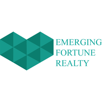 Emerging Fortune logo