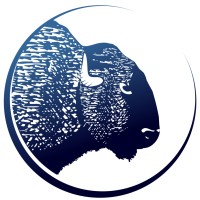 Blue Bison Web logo