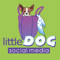 Image of Little Dog Social Media