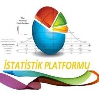 İstatistik Platformu logo