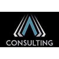 ARANE Consulting LLC logo