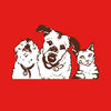 Tuffy's Pet Foods Inc logo