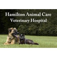 Hamilton Animal Care Veterinary Hospital logo