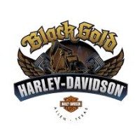 Image of Black Gold Harley-Davidson