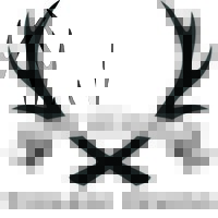Image of Staghead Designs