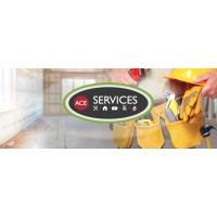 ACE Services Inc logo