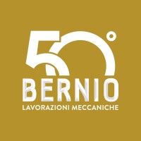 Bernio Srl logo