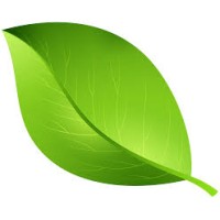 Green Leaf Pest Control logo