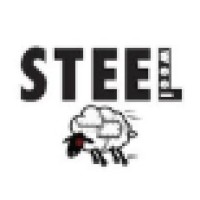 Steel Wool Entertainment logo