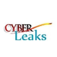 Cyberleaks logo