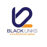 BLACK LINKS GLOBAL logo