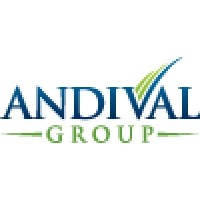 Andival Group logo