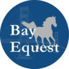 Bay Area Equestrian Network logo