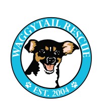Waggytail Rescue logo
