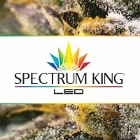 Spectrum King LED logo