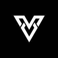 Verus Financial logo