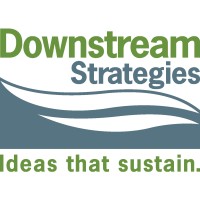 Downstream Strategies logo