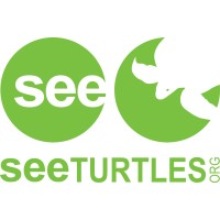 SEE Turtles logo