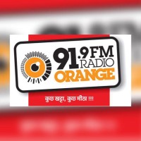 Radio Orange  FM logo