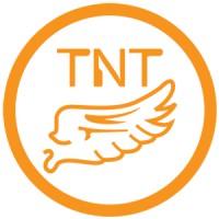 TNT MEDIA & NETWORK CO., LTD. logo