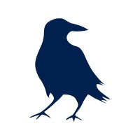 Blue Raven logo